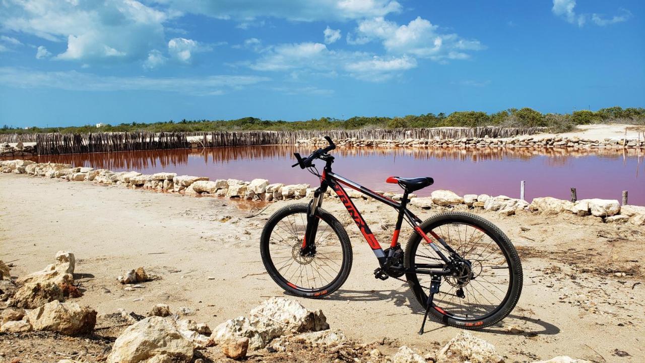 Reef Yucatan All Inclusive & Convention Center Mérida Dış mekan fotoğraf