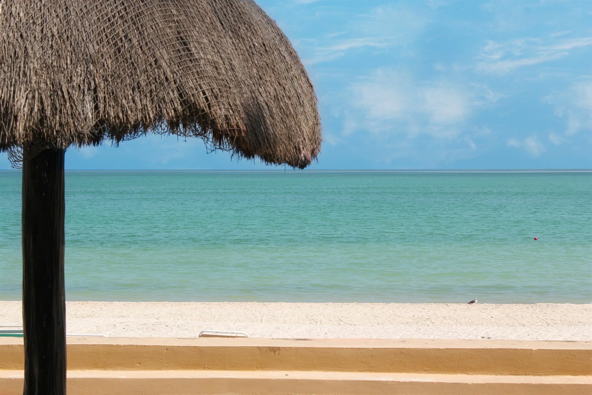 Reef Yucatan All Inclusive & Convention Center Mérida Dış mekan fotoğraf