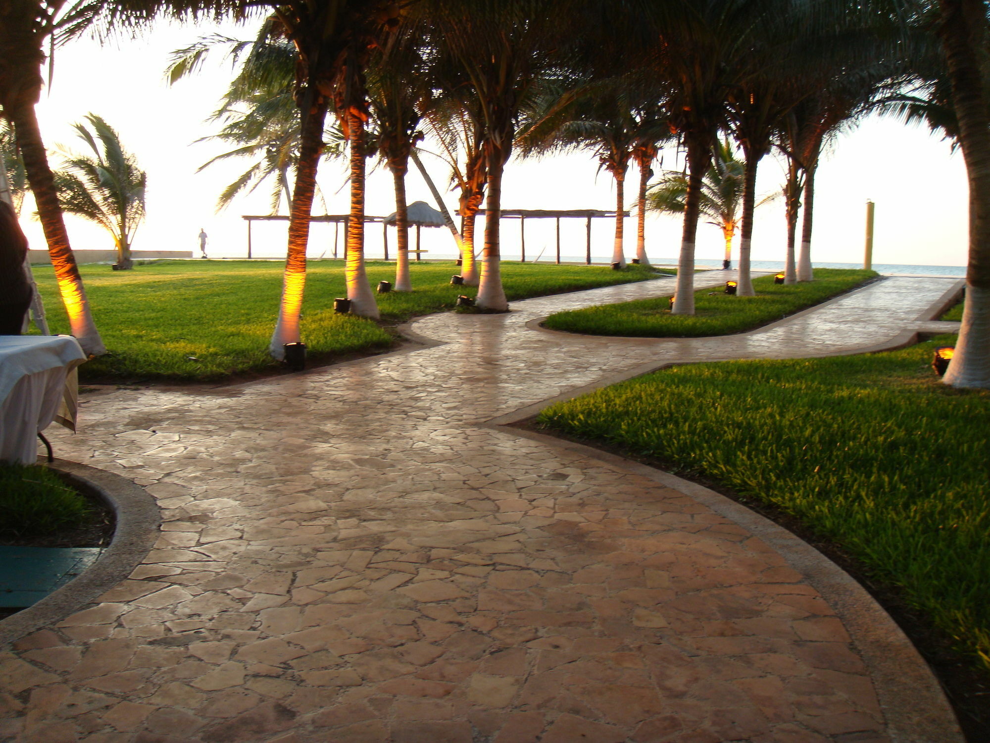 Reef Yucatan All Inclusive & Convention Center Mérida Dış mekan fotoğraf